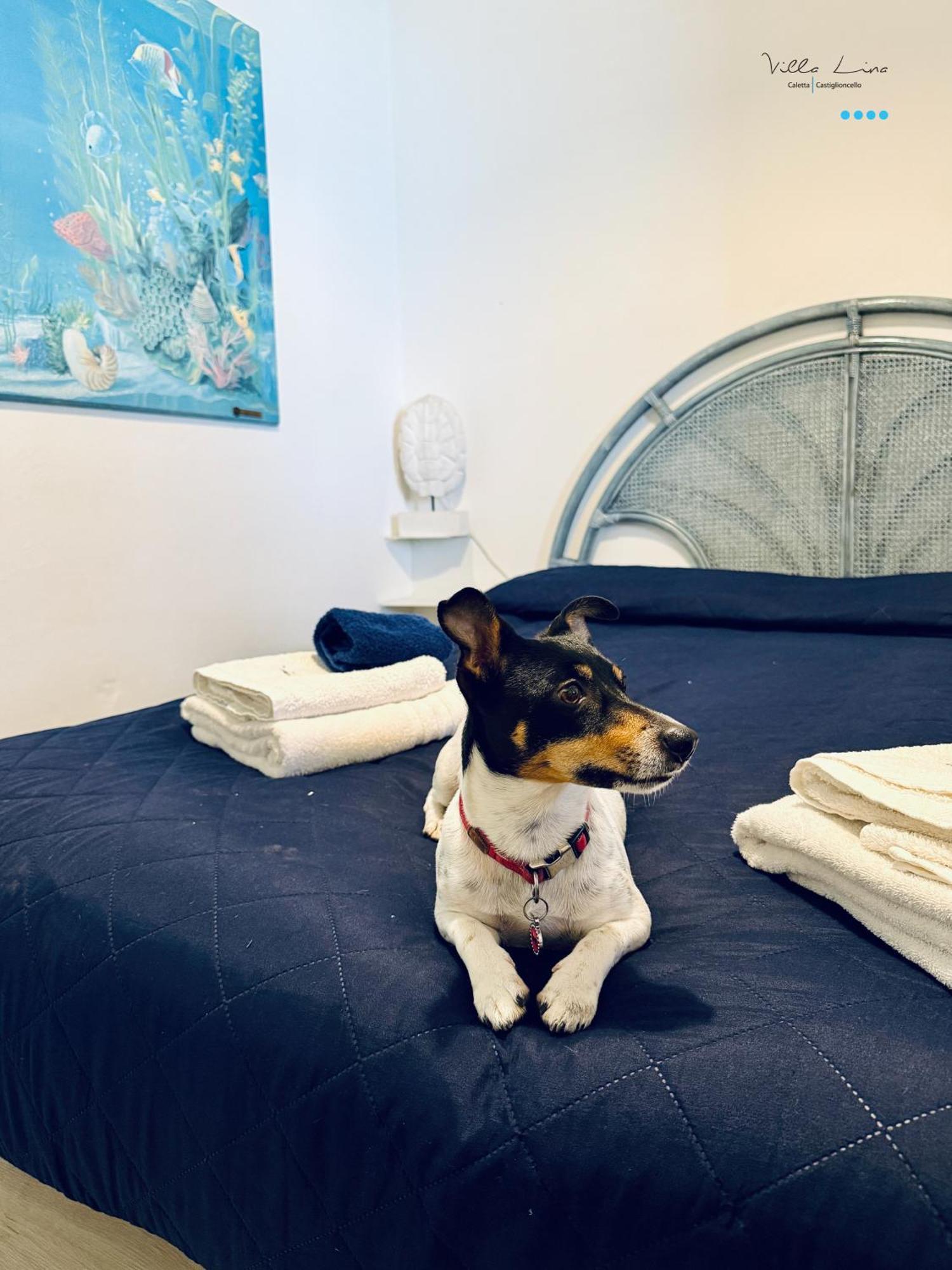 Apartment Lina